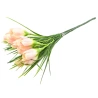 Crocus Bouquet, h-30 cm, pink color