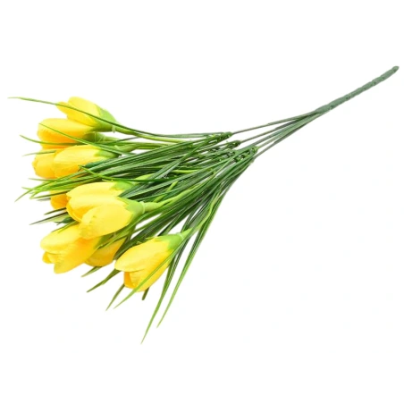 Crocus Bouquet, h-30 cm, yellow color