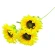Sunflower, h-70 cm