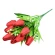 Tulip Bouquet, h-40 cm, pink color