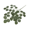 Artificial Leaf Branch, h-60 cm