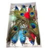 Decoration – Peacock on Clip, 16×3 cm, 1 pack – 6 pcs.