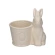 Planter with Bunny, 16×11.5×16 cm, Cream Color