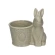 Planter with Bunny, 16×11.5×16 cm, Grey-Green Color