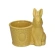 Planter With Bunny, 16×11.5×16 cm, yellow Color