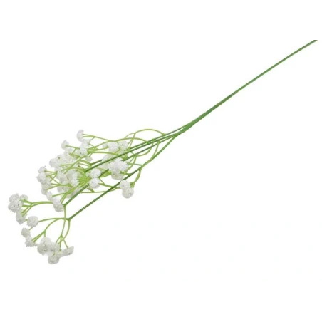 Gypsophila Sprig, 60 cm