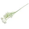 Gypsophila Sprig, 60 cm