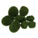 "Mossy" Stones, 6–10 cm, 1 Pack – 10 Pieces