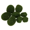 "Mossy" Stones, 6–10 cm, 1 Pack – 10 Pieces