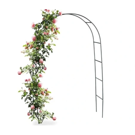 Arka, 136×38×240 cm