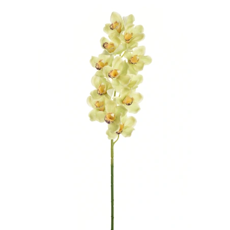 Dirbtinė orchidėja, 106 cm, šviesiai žalios spalvos