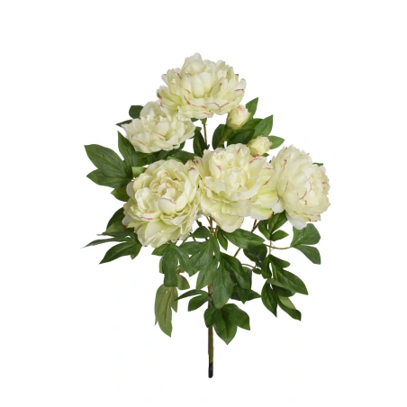 Bijūnų puokštė, 65 cm, šviesiai žalios ir rožinės spalvos