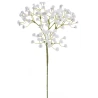 Gypsophila, 50 cm, White