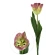 Artificial Tulip, 62 cm, Green-Pink