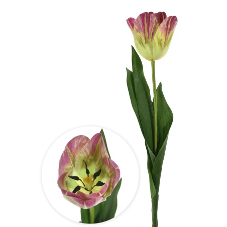 Mākslīgā tulpe, 62 cm, zaļi-rozā krāsā