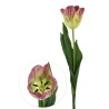 Artificial Tulip, 62 cm, Green-Pink