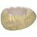 Eggshell, 8.5 cm