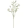 Light Cream Carnation Stem, 65 cm