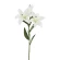 White Lily Stem, 76 cm