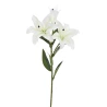 White Lily Stem, 76 cm