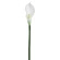 White Artificial Calla Lily, 72 cm