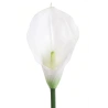 White Artificial Calla Lily, 72 cm