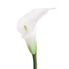 White Artificial Calla Lily, 72 cm