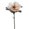 Dirbtinė magnolija, persikinės spalvos, 65 cm