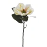 Gaiši zaļu un citu toņu mākslīgā magnolija, 65 cm