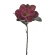 Tumši ķiršu krāsas mākslīgā magnolija, 65 cm