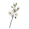Dirbtinė magnolija, 75 cm