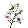 Mākslīgā magnolija, 75 cm