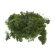 Moss, 1 kg, Olive Green