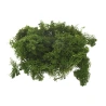 Moss, 1 kg, Olive Green