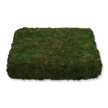 Dried Plant Base, 32×32×6 cm