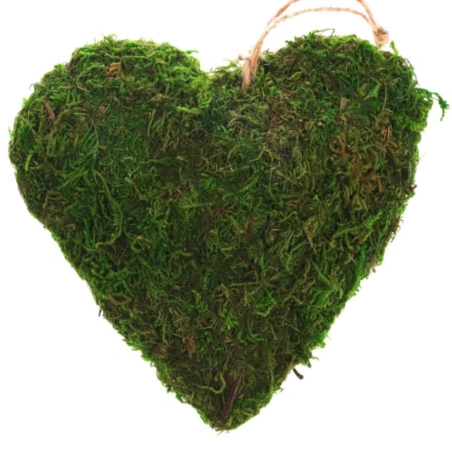 Dried Plants Heart Shape, 26×28 cm