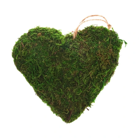 Dried Plants Heart Shape, 21×20 cm