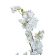 Potted Flower White Cherry, h-170 cm