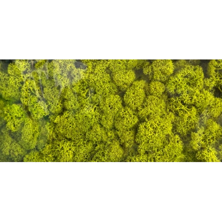 Samana, stabilizuota, 0,5 kg