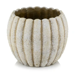 Plant Pot