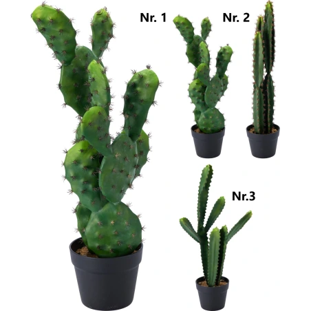 Cactus in Pot, 68 cm