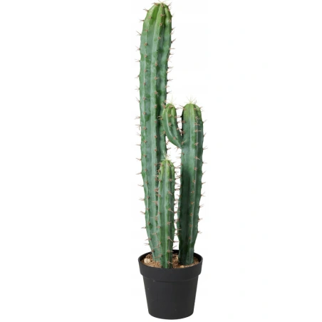 Cactus in Pot, 94 cm