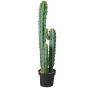 Cactus in Pot, 94 cm