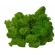 Preserved Moss, Green Color, 200 g