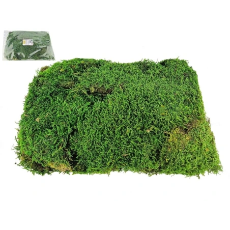 Impregnētas sūnas, 250 g, zaļā krāsā