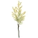Mimosa Stem, 70 cm, Yellow Color