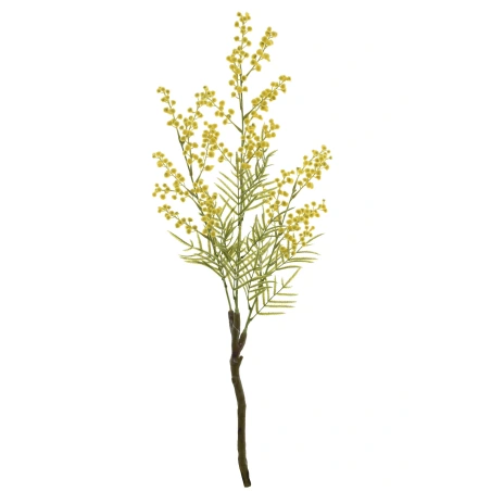 Mimosa Stem, 70 cm, Yellow Color