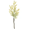 Mimosa Stem, 70 cm, Yellow Color