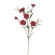 Carnation Stem, 65 cm, Red Color