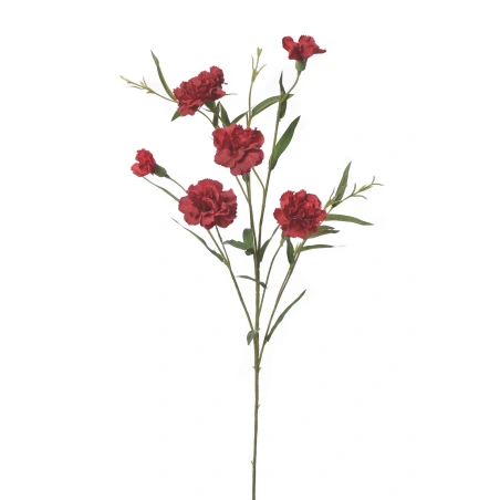 Carnation Stem, 65 cm, Red Color